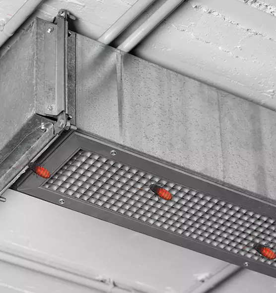 About Air Duct Cockroach Removal in Solon, OH