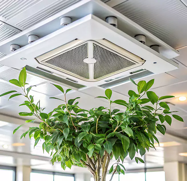 Why Homeowners & Businesses Trust Us in Solon, OH?